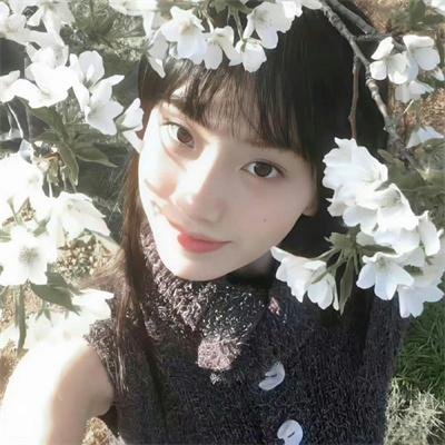 机智问答